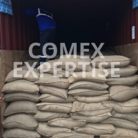 comex expertise
