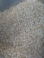 Bulk White Quinoa 25kg 