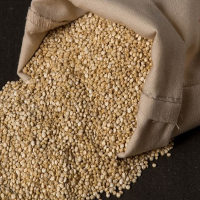 White Quinoa grains