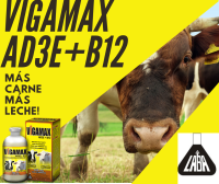 Vigamax AD3E+B12 more meat more milk!