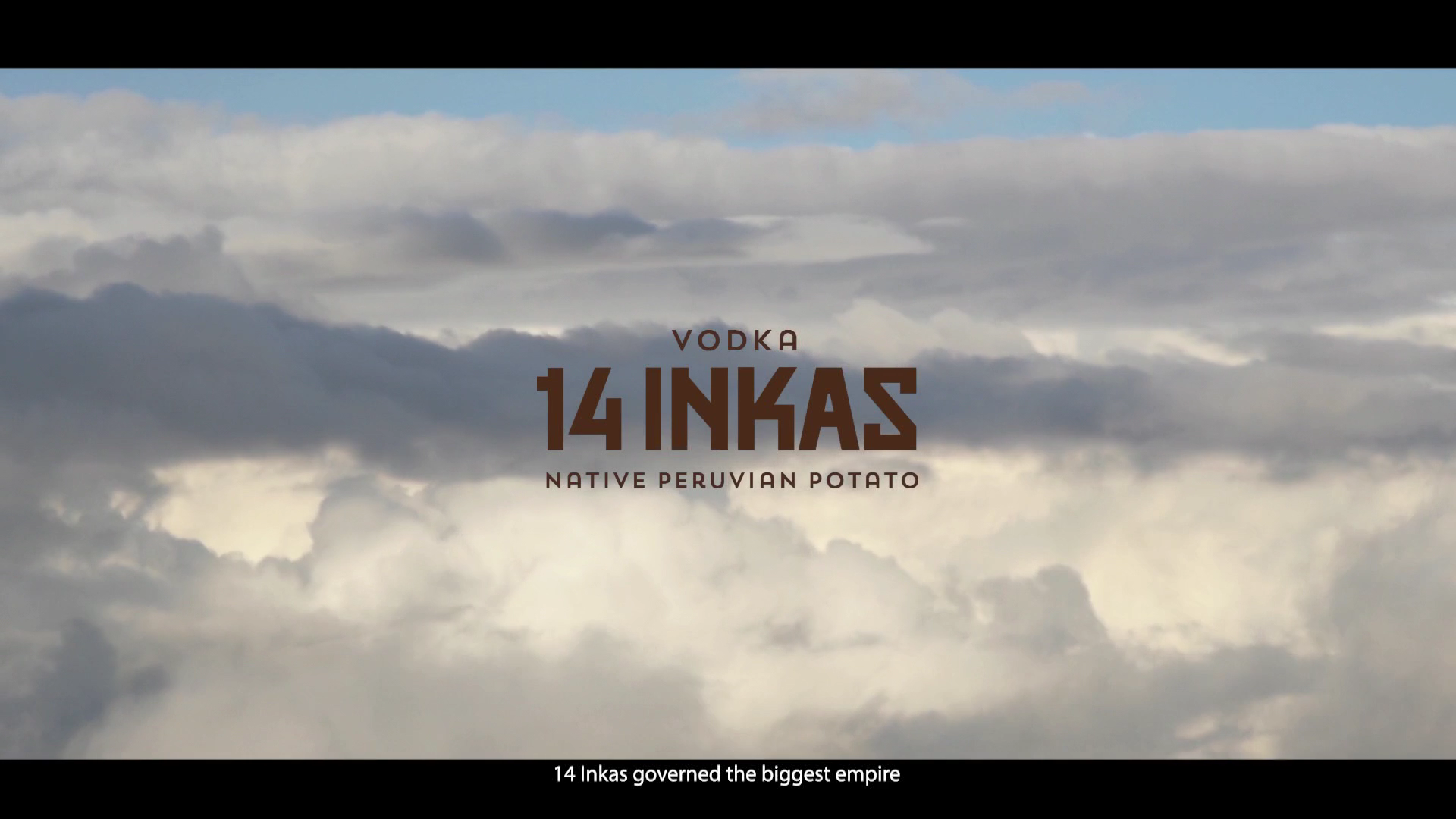 14 Inkas vodka Video sign