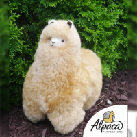 Standing Alpaca 12