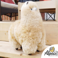 Standing Alpaca 12