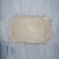 Frozen Giant Squid Fillets