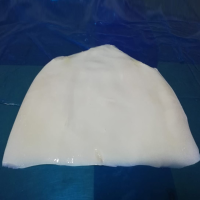 Frozen Giant Squid Fillets