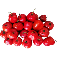 Red Pepper