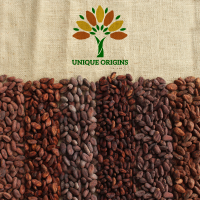 Specialty cocoa beans in 30 kg and 35 kg bags