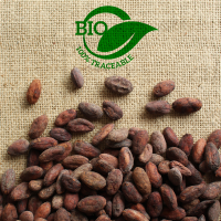 Organic Cacao Beans 
