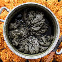 Fabric Dyeing 