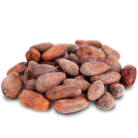 Organic Raw Cacao Bean