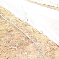 Greenhouse Effect LDPE Sheet with Additives