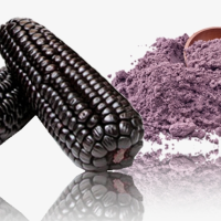 Purple Corn Grain Flour per 1 Ton - Hochland Peru Latam