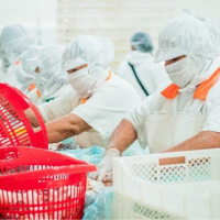 Our process team, assembling product blocks, for further freezing.