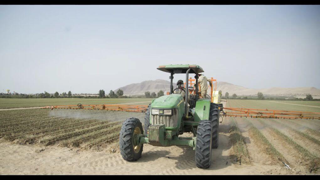 Cultivation of our onion Video sign