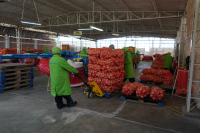 bags of 25 kg