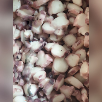 Squid Slices