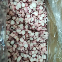 Squid Slices