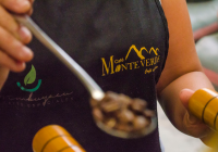 SAMPLE ROASTERS