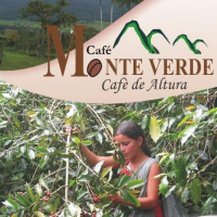 coffee trees