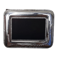 Modern Picture Door