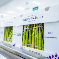 Fresh Green Asparagus 2.5kg - 3kg - 5kg