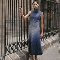 Long Degraded Coat 