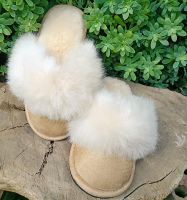 Classic Slippers with Alpaca Border