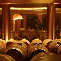 The Vineyard Underground Cellar
