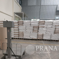 Organic Amaranth or Conventional 25kg and 50kg