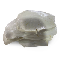 Boiled Giant Squid fillet 
