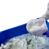 Boiled Giant Squid fillet 