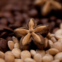 Roasted Sacha Inchi 18kg