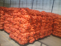 Yellow OnionsIncaSource Foods