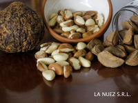 Brazil Nuts 20 kg-44lb