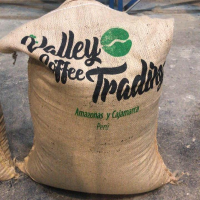 Export Type Green Coffee