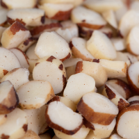 Brazil Nut broken 6