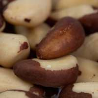 Brazil Nuts Type Midget 44lb Manutata