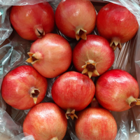 Fresh Pomegranate