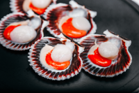 Scallops half shell