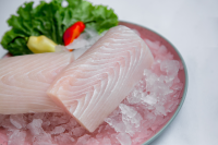 Mahi Mahi Portions 10lb