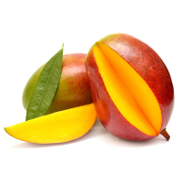 Kent Fresh Mango