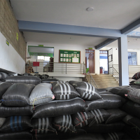 COOPERATIVA AGRARIA CAFETALERA SELVA ALTA