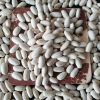 White Beans