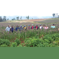 Farmers