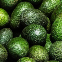 Fresh Hass Avocado 4kg and 10kg