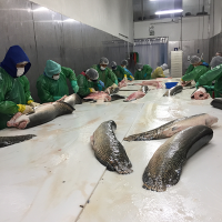 Processing facility