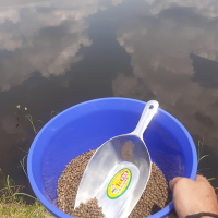 RAINFOREST AQUAFARMS SOCIEDAD ANONIMA - RAINFOREST AQUAFARMS S.A. 