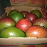 Fresh Mango