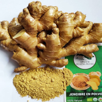 Ginger Powder