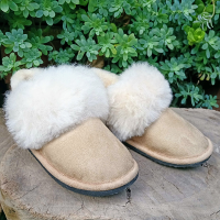Shoe slipper